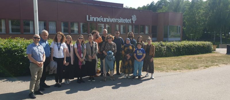 STEM for ALL- STEFORA Project (Linnaeus University in Växjö, Sweden)
